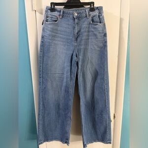 American Eagle Super High Rise Baggy Wide Leg Jeans Size 8